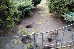 У центрі Києва нашестя щурів (фото)