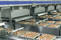 Бахматюк побудував найбільші в Євразії фабрики, які НАБУ і прокуратура «не бачать», - звернення компанії