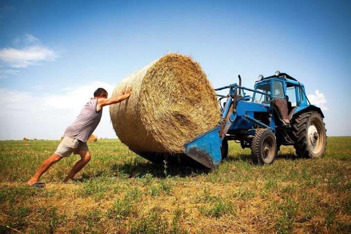 ЄС виділить українським фермерам €26 мільйонів
