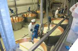 В Україні перевірять виробників масла