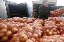 Українську цибулю почали купувати Туреччина і Молдова