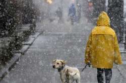 Снігові дощі і вітер: прогноз погоди в Україні на 30 січня