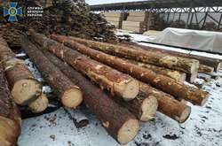 Посадовці лісгоспу Житомирщини розкрали деревини на 3 млн грн