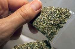 У водія  поліцейські виявили пакет з сухою подрібненою речовиною 