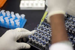 В Испании задержали сербов, организовавших международную сеть распространения допинга