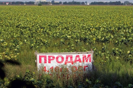 Скільки українців готові продати свої земельні паї? «Слуга народу» оприлюднив цифри