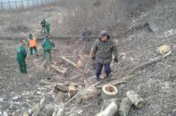 Зеленбудівці показали, які дерева зрубали на схилах біля колони Магдебурзького права (фото, відео)