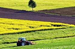 Открытие рынка земли. Глава аграрного комитета Рады назвал стартовую цену гектара