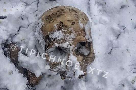 Моторошна знахідка: у Харкові біля зупинки виявили людські кістки (фото)