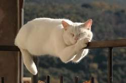 Теперішнє незначне похолодання триватиме недовго, - синоптик