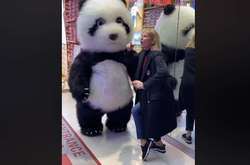 Экс-генпрокурор Луценко показал, как жена танцует с пандой: забавное видео