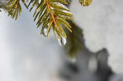 Прогноз погоди на 9 лютого: в Україні буде сухо, на дорогах ожеледиця