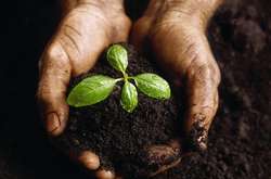 Народний депутат пояснив, що станеться внаслідок земельної реформи