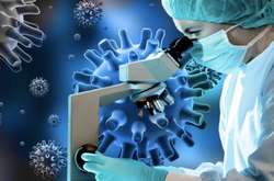 В Бразилии обнаружен неизвестный науке вирус