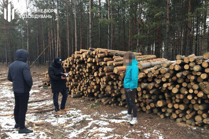 ДБР проводить обшуки у лісгоспах Житомирщини