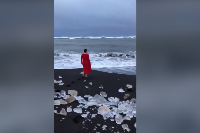 Надія Савченко скупалася у Північному льодовитому океані у довгій червоній сукні (відео)