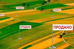 Навколо земельної реформи багато політичних спекуляцій - депутат