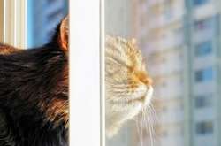 Синоптики очікують на аномально теплу весну в Україні