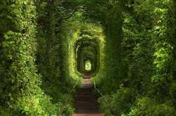 14 лютого на виставці Ukraine WOW на закоханих чекають романтичні сюрпризи