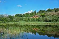 У столиці можуть з’явитися ще два ландшафтних заказники 