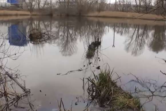 Екологічне лихо: в озері на столичній Оболоні виявлено нафтопродукти (відео)