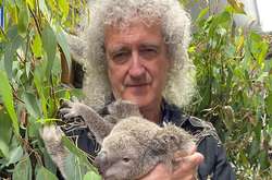  Судя по реакции, коала — не фанат рок-музыки 
  