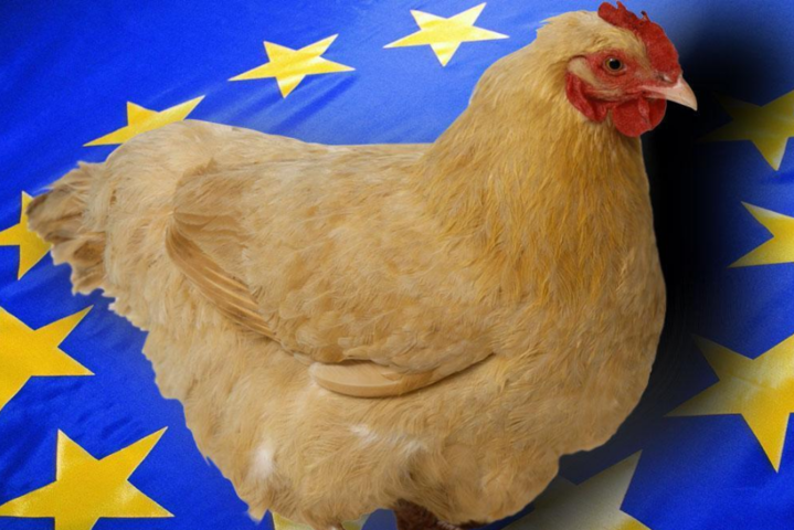 ЕС снял внезапный запрет на импорт курятины из Украины