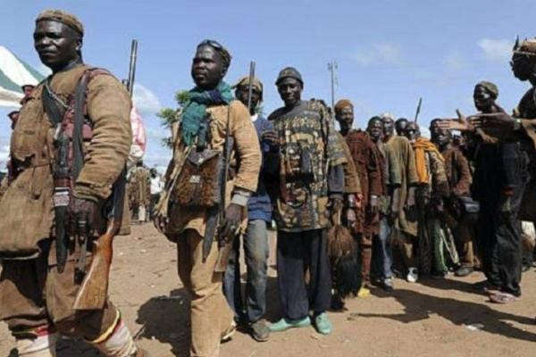 У Малі бойовики напали на селище, понад 30 вбитих