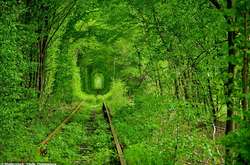 Тоннель любви признали самым романтичным местом в мире