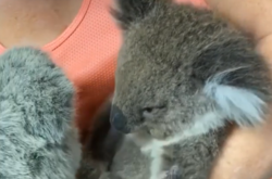 Скриншот видео