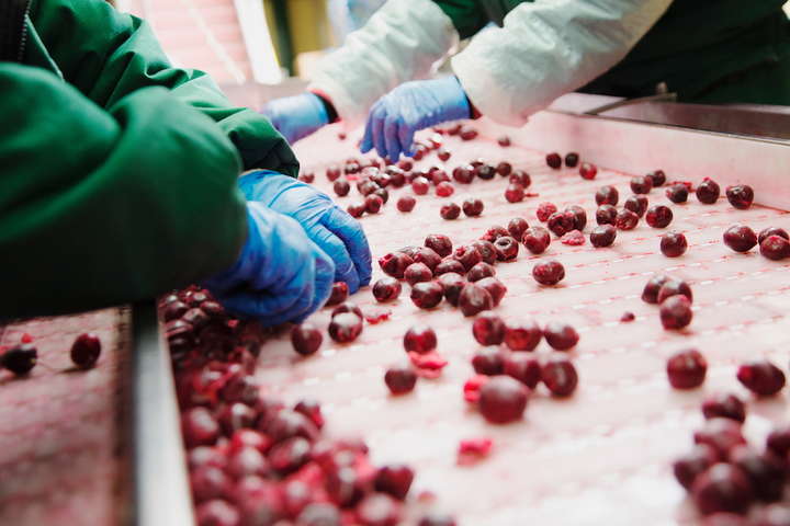 Група T.B. Fruit переносить виробництво заморожених фруктів та овочів в Україну