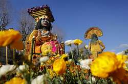 140 тонн цитрусових і 15 тонн металевих каркасів. Як у Франції проходить фестиваль лимонів