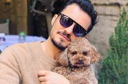  Пес знаменитого актера стал самым милым гостем первого ряда 
  