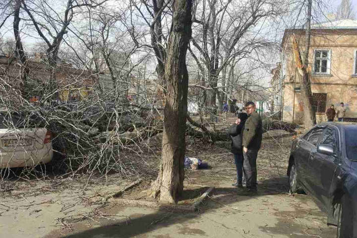 Дерево убило женщину в Одессе