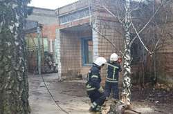 У Херсоні на дитину впало дерево через сильний вітер