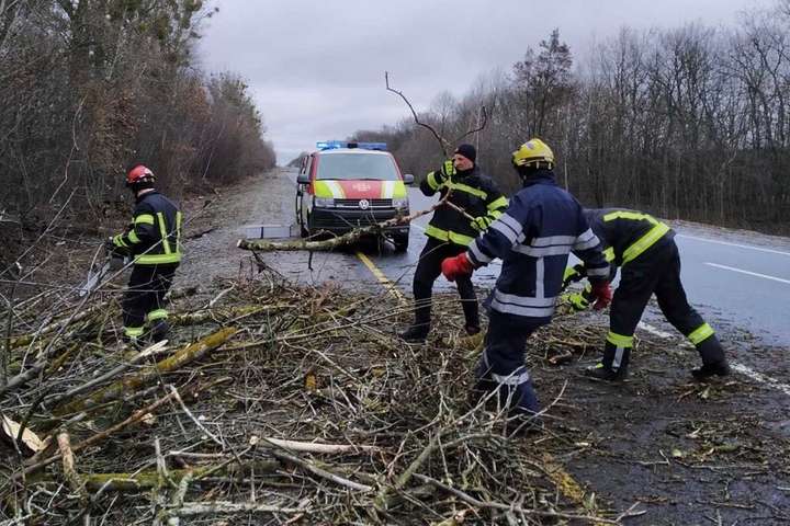 У Миколаєві та області вітер повалив 250 дерев, пошкодив 75 будинків