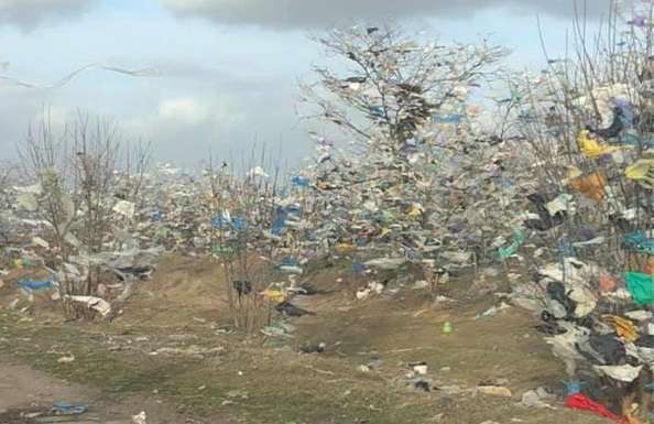 В Очакові вітер розвісив на деревах  тонни сміття 