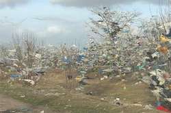 В Очакові вітер розвісив на деревах  тонни сміття 