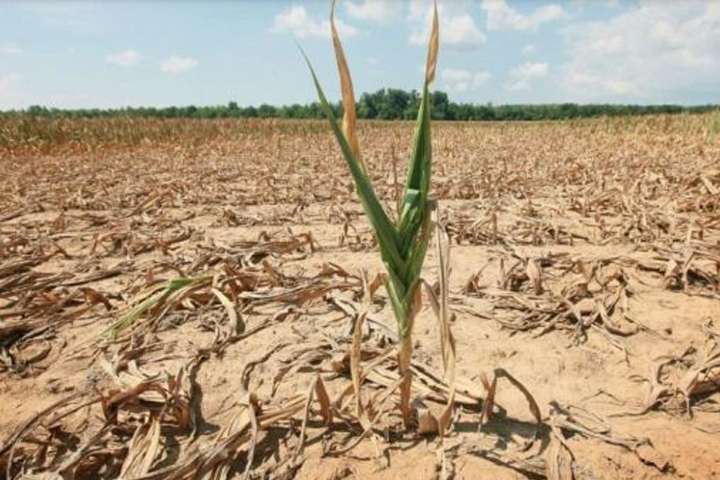 Глава Міненерго: Україні загрожує літня посуха