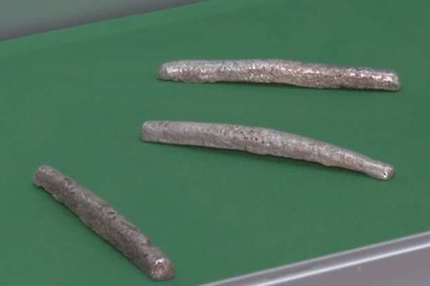 Хутір за гривню. На Сумщині у лісі знайшли срібні гривні часів Київської Русі
