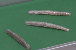 Хутір за гривню. На Сумщині у лісі знайшли срібні гривні часів Київської Русі