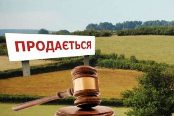 Названо количество украинцев, поддерживающих продажу земли
