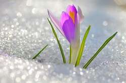 Березень буде теплішим, ніж зазвичай