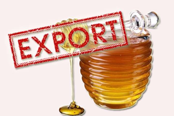 У Євросоюзі заявили про кризу на ринку меду через збільшення імпорту з Китаю і України, – DW
