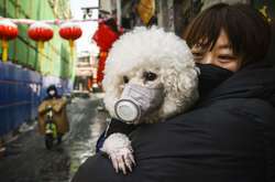 В Україну заборонили ввозити тварин з Китаю