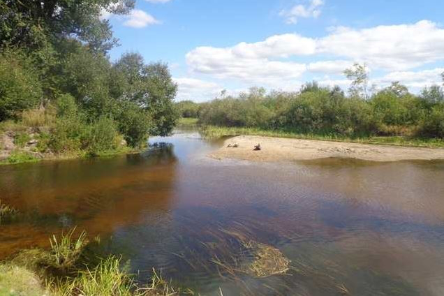 В Україні аномально обміліли річки і водосховища