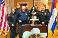 Мэром американского города стала собака