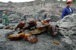 Новий закон регулює видобуток бурштину в Україні 