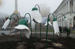 Бетонные подснежники на Майдане Независимости в Киеве