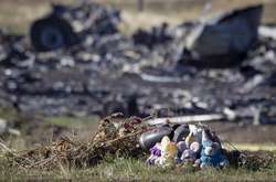 Місце катастрофи збитого літака рейсу MH17 на Донбасі